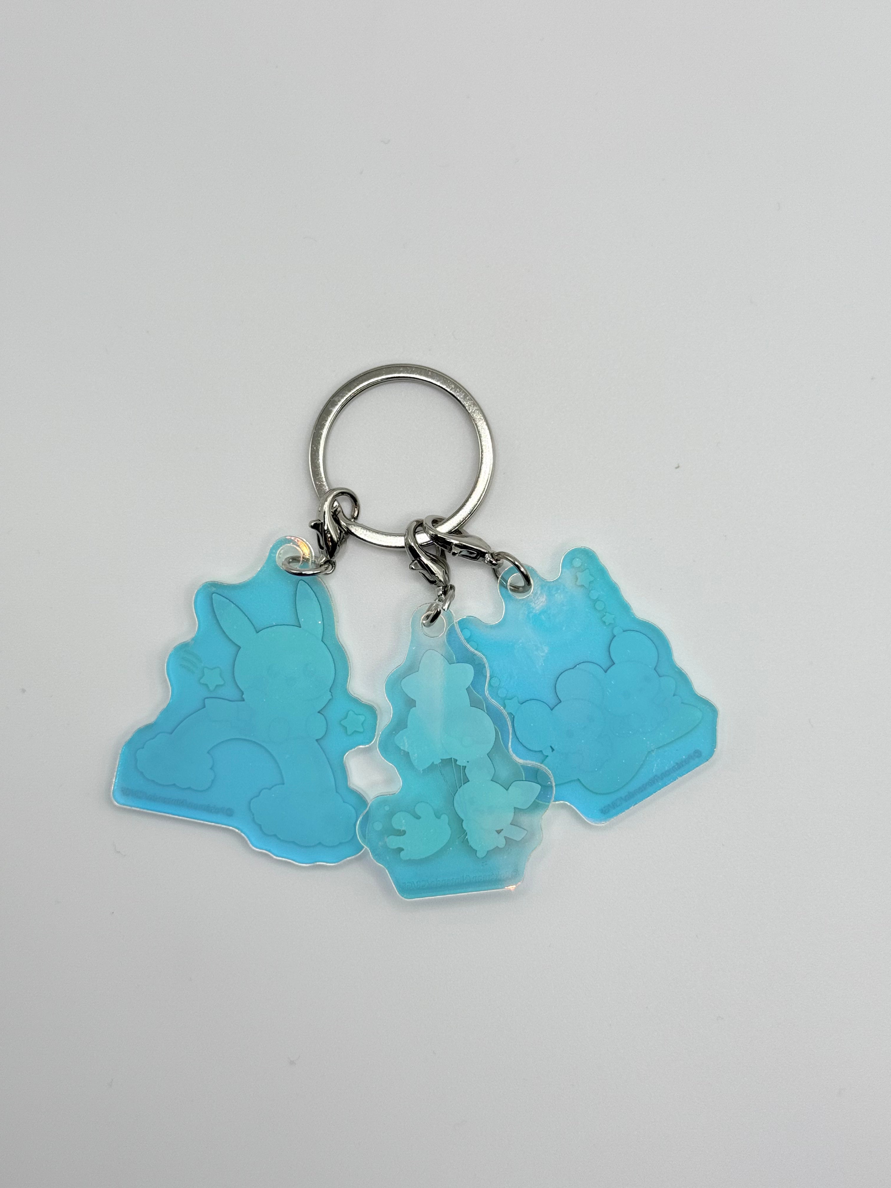 Pokemon Pokepiece Horora-Series Aurora Acrylic Key Holder Set Pichu & Mahomil Wakkana Mouse