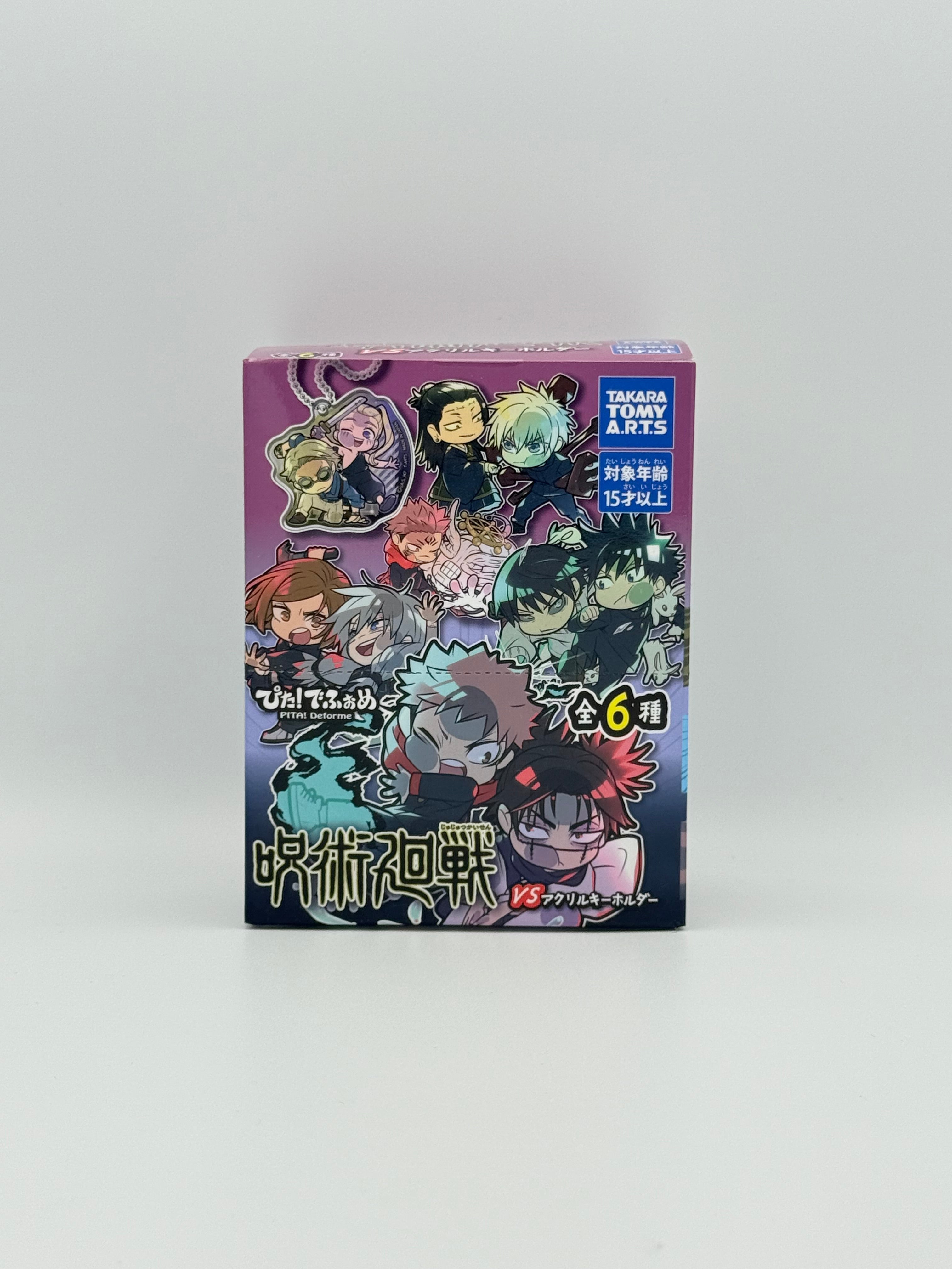 Jujutsu Kaisen Acrylic Key Ring (Set of 6)